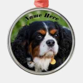 Ornamento De Metal Tricolor Cavalier King Charles Spaniel Dog