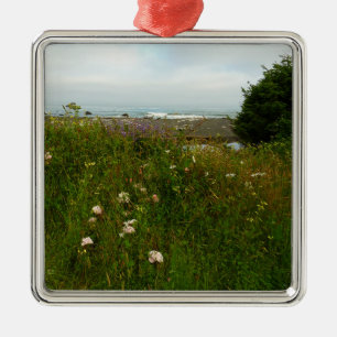 Ornamento De Metal Trilha Yurok Loop no Parque Nacional de Redwood