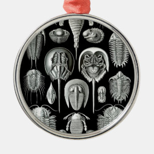 Ornamento De Metal Trilobites e fósseis em preto e branco