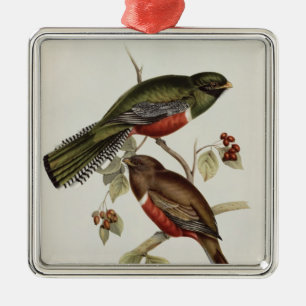 Ornamento De Metal Trogon Collaris