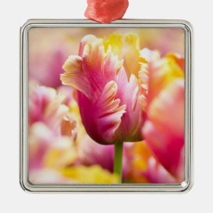 Ornamento De Metal Tulipas do Fim-acima