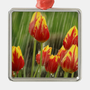 Ornamento De Metal Tulipas do primavera