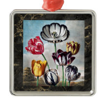 Tulipas Vintage - Templo de Flora Botânica -