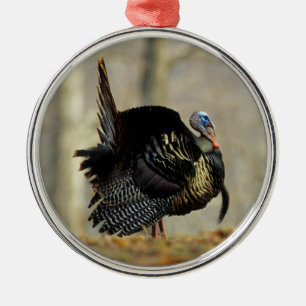 Ornamento De Metal Turkey struting masculino, Illinois