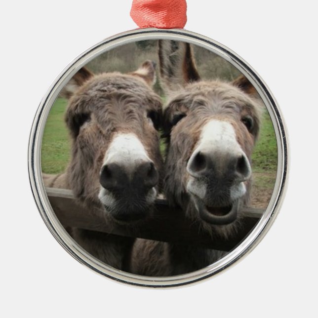 ORNAMENTO DE METAL TWIN DONKEY PAIR ORNATION (Frente)