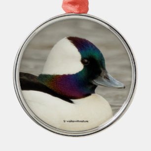Ornamento De Metal Um Bufflehead Curioso