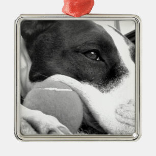 Ornamento De Metal um cachorro pitbull, bonito e bonito, branco com b