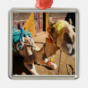 Ornamento De Metal Um camelo amigável aguarda seu próximo cavaleiro, 