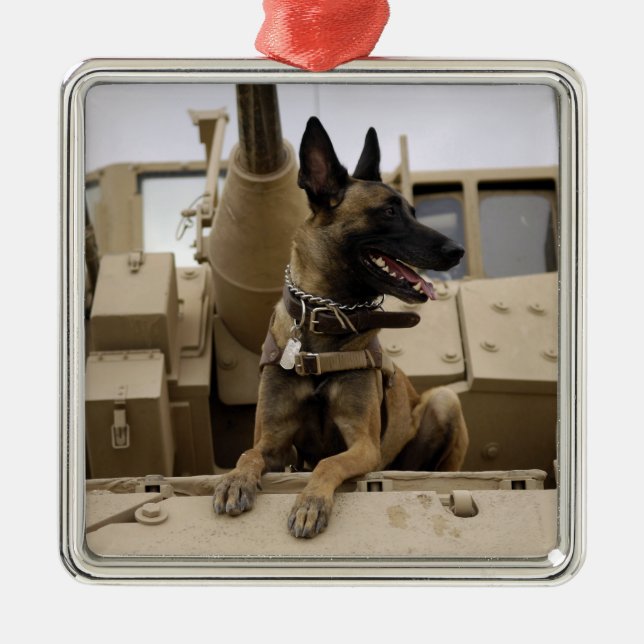 Ornamento De Metal Um cão de trabalho militar senta-se num M2A3 (Frente)