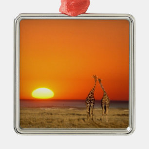 Ornamento De Metal Um casal de girafas caminha para o pôr do sol, em