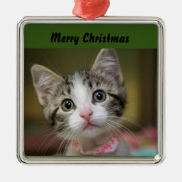 Ornamento De Metal Um gatinho fofo com olhos verdes