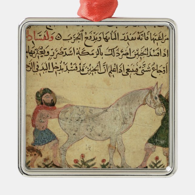 Ornamento De Metal Um veterinário que ajuda uma égua a dar o (Frente)