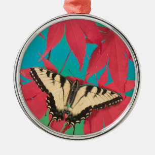Ornamento De Metal Uma Borboleta Canadense Tiger Swallowtail