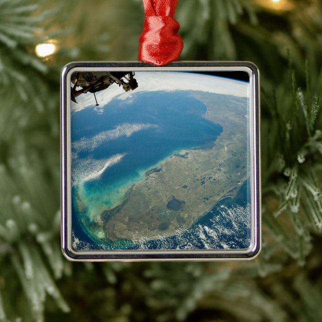 Ornamento De Metal Uma Flórida Oblíqua, Na Costa Sudeste (Árvore)