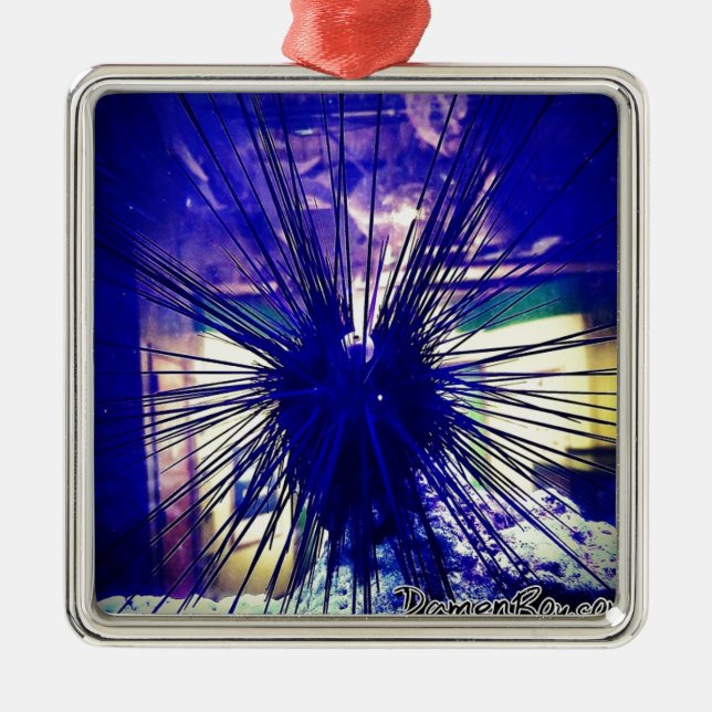 Ornamento De Metal Urchin Preto Longspine (Frente)