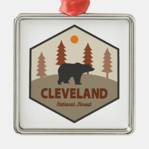 Ornamento De Metal Urso da Floresta Nacional de Cleveland