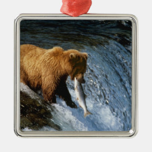 Ornamento De Metal Urso Pardo do Alasca Capturando Salmão em Brooks