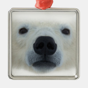 Ornamento De Metal Urso Polar
