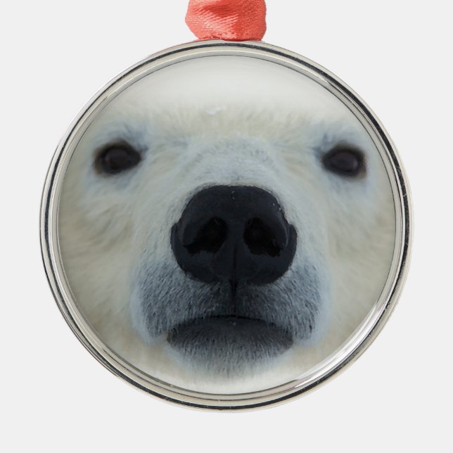 Ornamento De Metal Urso Polar (Frente)