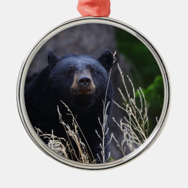 Ornamento De Metal urso preto feliz (Frente)