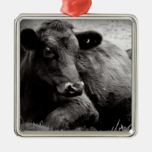 Ornamento De Metal Vaca de carne preta de Angus