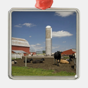 Ornamento De Metal Vacas em frente a um celeiro vermelho e silo em um