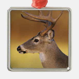 Ornamento De Metal Veado-mateiro, Odocoileus virginianus,