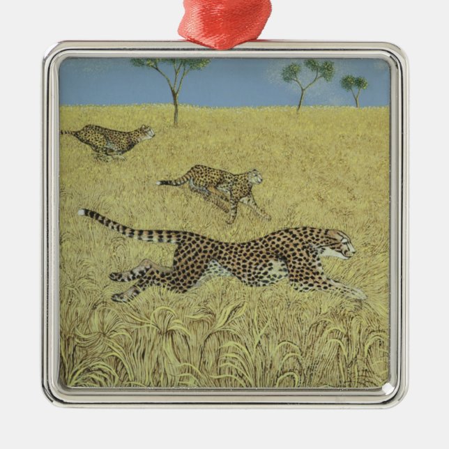 Ornamento De Metal Velocidade completa (Frente)