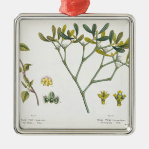 Ornamento De Metal Vidoeiro (deixado) e visco (direito), Fig. 9 e 10