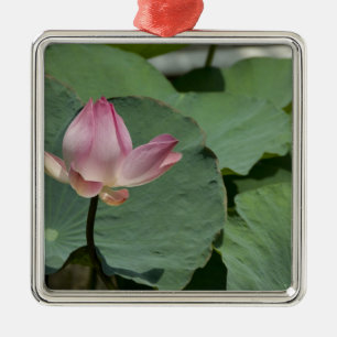 Ornamento De Metal Vietnã, perto de Saigon) Meu Tho. Vinh Trang 2