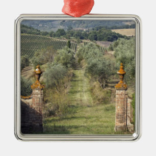 Ornamento De Metal Vineyards, Toscana, Itália
