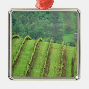 Ornamento De Metal Vinhas de uva perto de Newberg Oregon