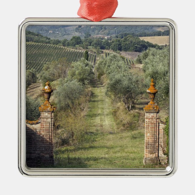 Ornamento De Metal Vinhas, Toscana, Itália (Frente)