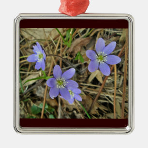 Ornamento De Metal Vinho Azul, Hepatica, Vestido