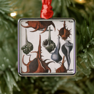 Ornamento De Metal Vintage Seasheles, Vida Marinha, Conchas Marítimas