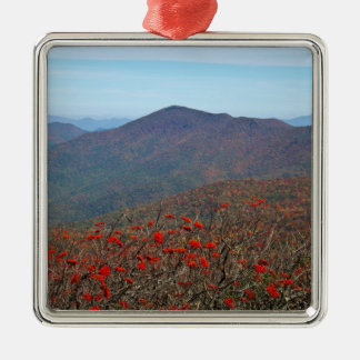 Ornamento De Metal Vista da Montanha Craggy Dome