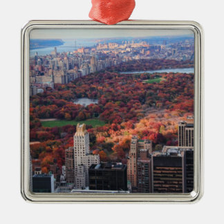 Ornamento De Metal Vista de cima: outono no Central Park 01