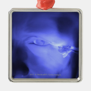 Ornamento De Metal Vista dianteira da orelha interna