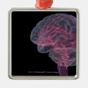 Ornamento De Metal Vista traseira do cérebro humano