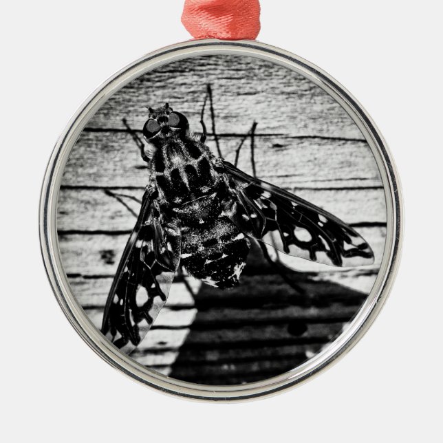Ornamento De Metal voar de volta (Frente)
