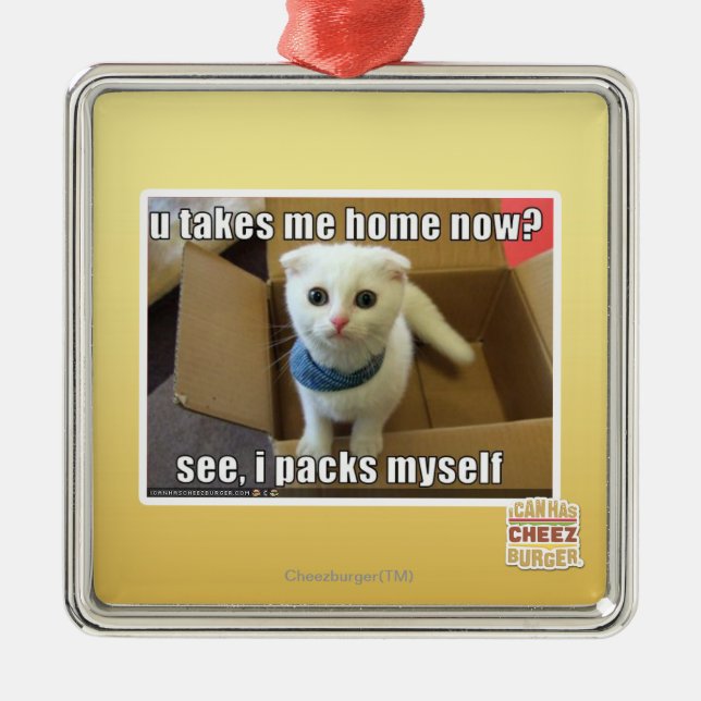 Ornamento De Metal Você me leva para casa agora? (Frente)