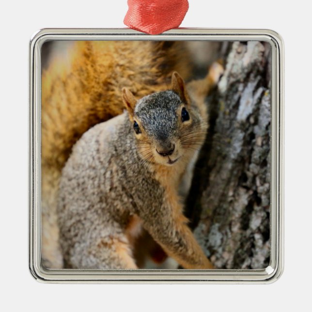 Ornamento De Metal Você não vem? (Frente)