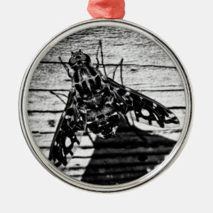 Ornamento De Metal volta