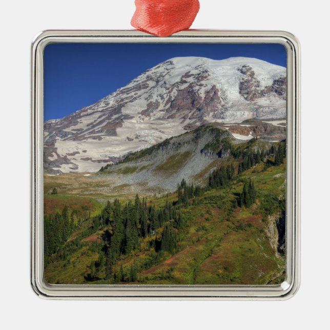 Ornamento De Metal WA, Mt. Rainier National Park, vista do (Frente)