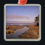 Ornamento De Metal WA, Olimpiadas NP, Kalaloch Beach e Kalaloch<br><div class="desc">COPYRIGHT Jamie & Judy Wild / DanitaDelimont.com| US48 JWI1316.jpg| WA,  Olimpiadas NP,  Kalaloch Beach e Kalaloch Creek</div>