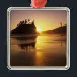 Ornamento De Metal WA, Olimpiadas NP, Second Beach no pôr do sol<br><div class="desc">COPYRIGHT Jamie & Judy Wild / DanitaDelimont.com| US48 JWI0074.jpg| WA,  Olimpiadas NP,  Second Beach no pôr do sol</div>