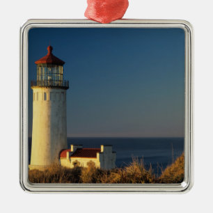 Ornamento De Metal WA, Parque Estadual Cape Disappointment, North Hea