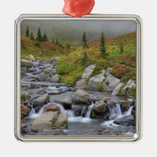 Ornamento De Metal WA, Parque Nacional Mt. Rainier, Edith Creek