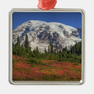Ornamento De Metal WA, Parque Nacional Mt. Rainier, Paradise Valley