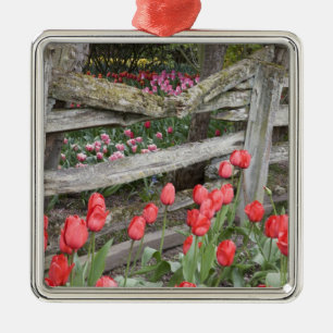 Ornamento De Metal WA, Vale do Skagit, Jardim de Tulipas Roozengaarde